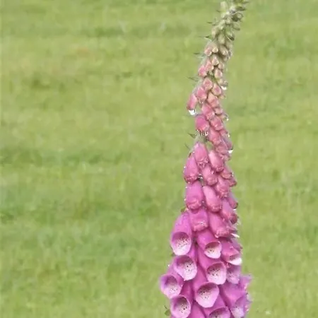 بيت للعطل Casa Rustica Con Encanto. *