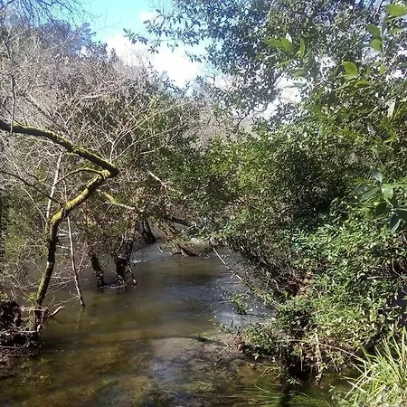 Casa Rustica Con Encanto. Brandomil