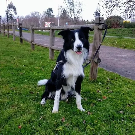 بيت للعطل Casa Rustica Con Encanto.