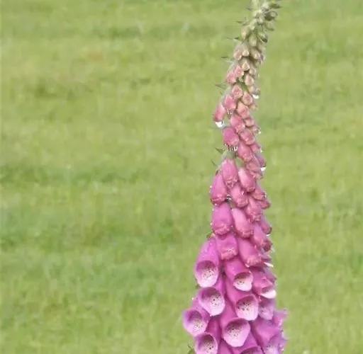 펜션 Casa Rustica Con Encanto. *