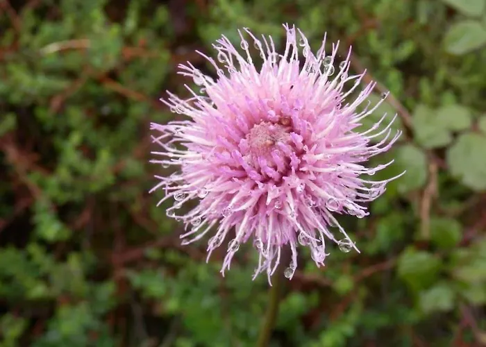 펜션 Casa Rustica Con Encanto. *