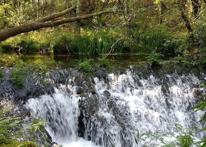 Casa Rustica Con Encanto. * Brandomil