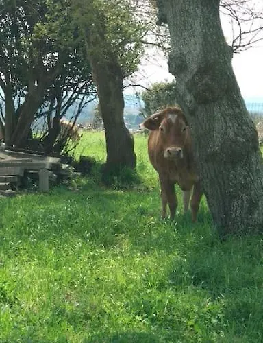 펜션 Casa Rustica Con Encanto. *