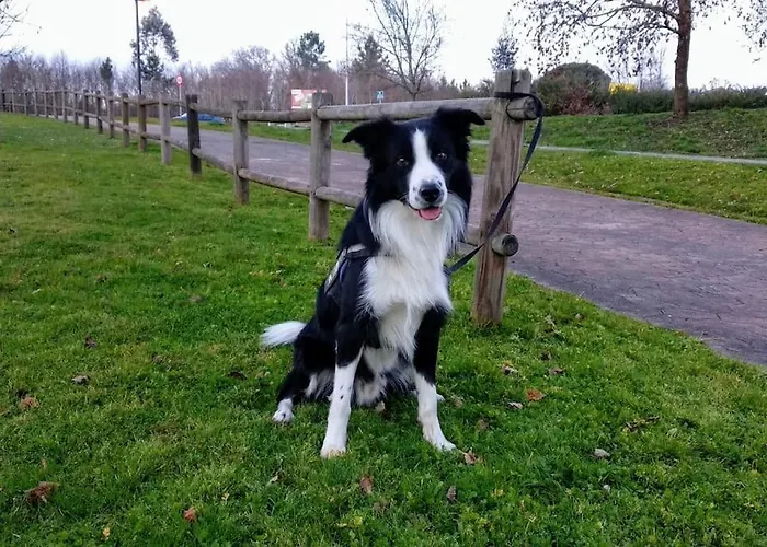 펜션 Casa Rustica Con Encanto.